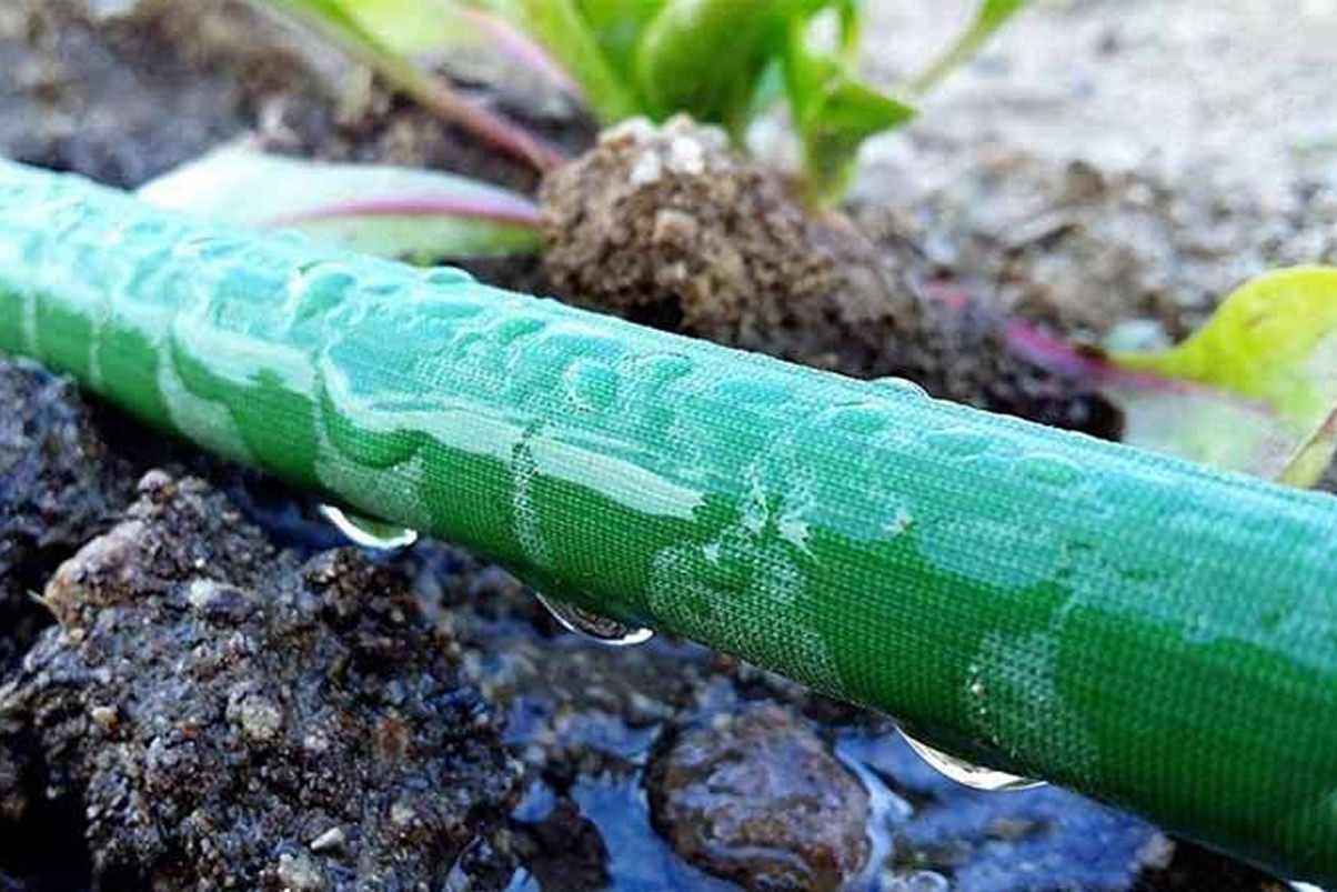 El inentendible veto presidencial al proyecto de ley que agilizaba solicitudes de derechos de agua